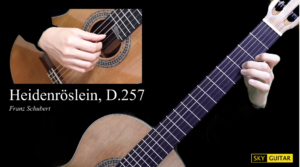 Heidenroslein - Guitar Lesson + TAB-古桐博客