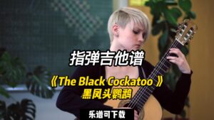 【指弹吉他谱】《The Black Cockatoo 》黑凤头鹦鹉（乐谱可下载）-古桐博客