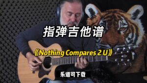 【指弹吉他谱】《Nothing Compares 2 U》（乐谱可下载）-古桐博客