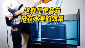 【伯恩斯吉他】这就是把音箱放在水里的效果-古桐博客