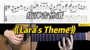 【Sky Guitar】《Lara's Theme》-古桐博客