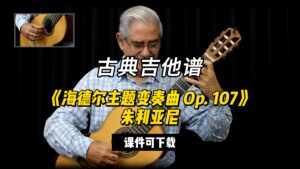 【古典吉他】《海德尔主题变奏曲 Op. 107》朱利亚尼（课件可下载）-古桐博客