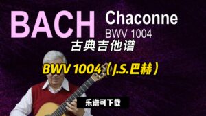 【古典吉他】BWV 1004（J.S.巴赫）（乐谱可下载）-古桐博客