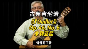 【古典吉他】《l'Oeillet》 Op. 46, No. 6朱利亚尼（课件可下载）-古桐博客