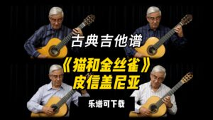 【古典吉他】《猫和金丝雀》皮信盖尼亚（乐谱可下载）-古桐博客