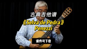 【古典吉他】《Selva de Pedra》Penezzi（课件可下载）-古桐博客