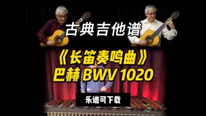 【古典吉他】《长笛奏鸣曲》巴赫 BWV 1020（乐谱可下载）-古桐博客