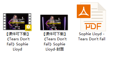 【课件可下载】《Tears Don't Fall》Sophie Lloyd插图