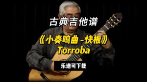 【古典吉他】《小奏鸣曲 -快板》Torroba（乐谱可下载）-古桐博客