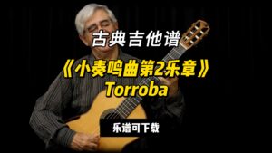 【古典吉他】《小奏鸣曲第2乐章》Torroba（乐谱可下载）-古桐博客