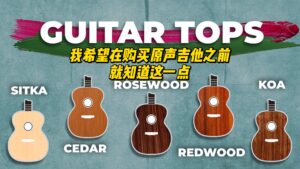 【中字】我希望在购买原声吉他之前就知道这一点-古桐博客
